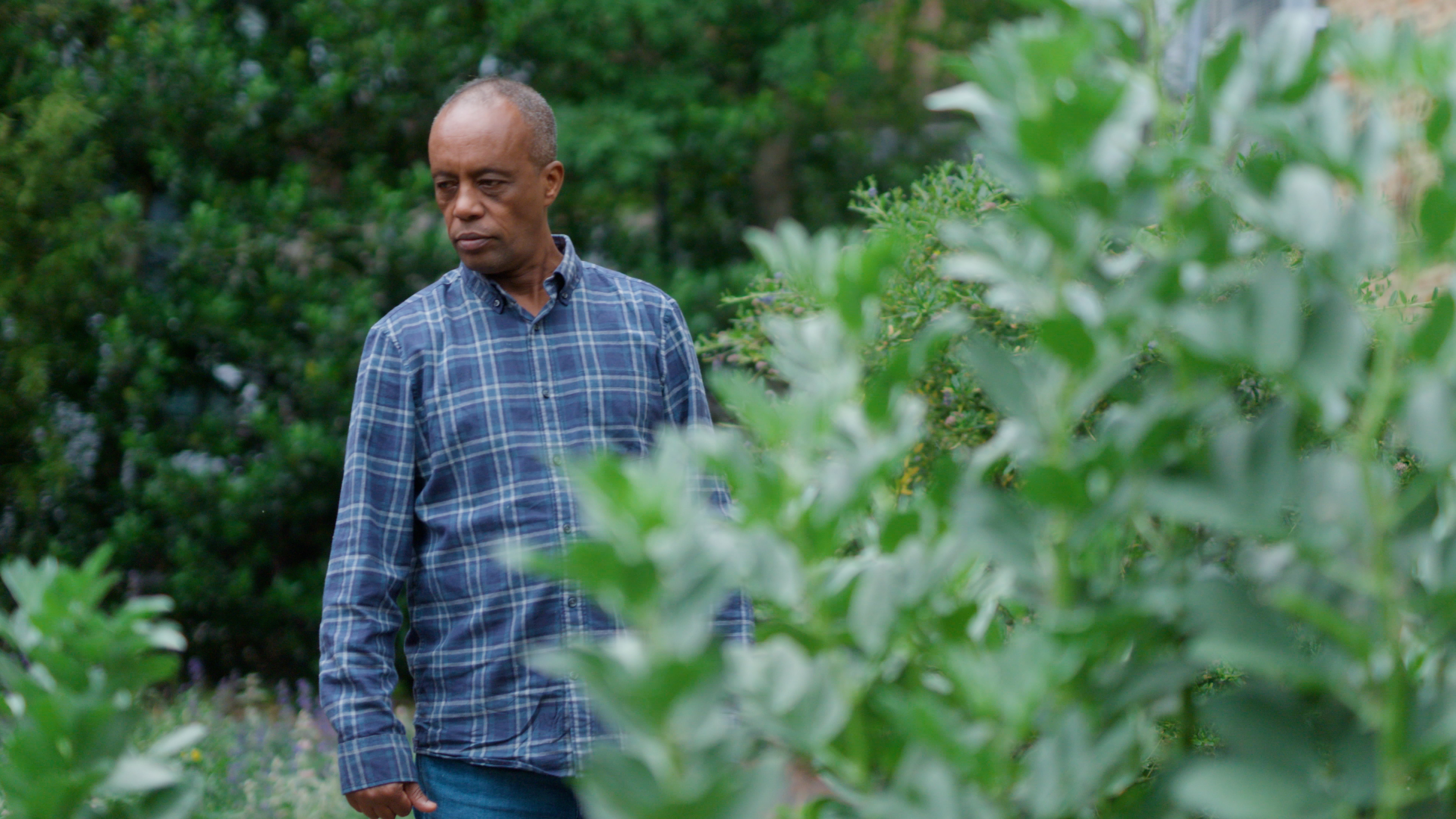 Paulos Tekle